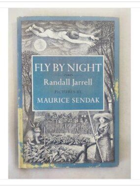 Fly By Night Childrens Illustrated Fantasy Fiction Book by Maurice 1st 1976 HC
